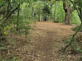 Clapham Common cruising trails - June 2025 asian gay sex massage videos