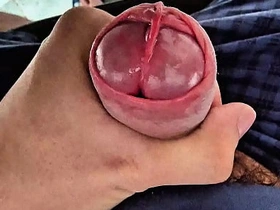 Selected Horseshit Head Slit Edging with Precum hot asian gay sexual congress hd videos