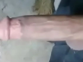 Asian chunky cock!! asian mens gay sex videos